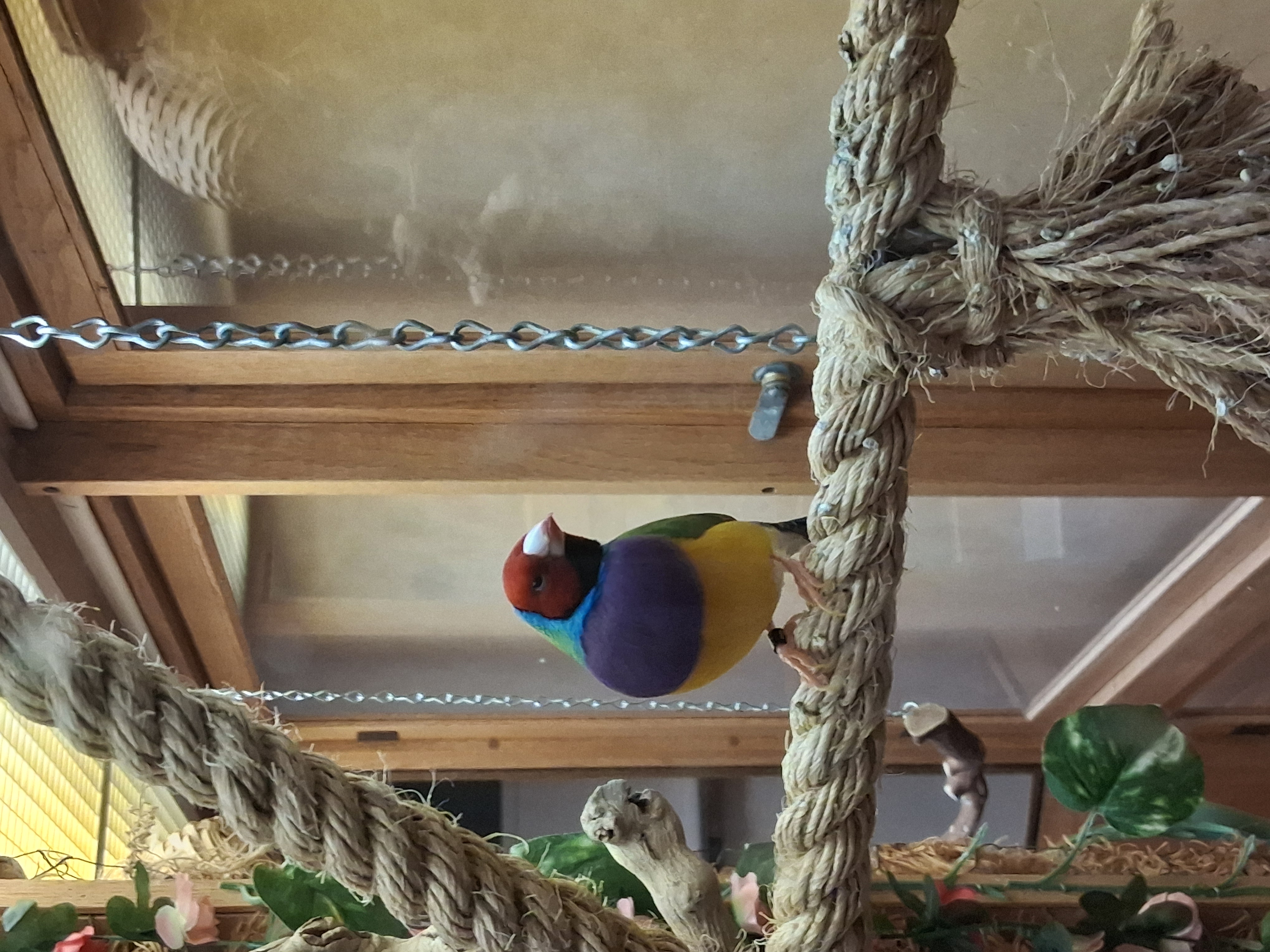 Recent bird photo
