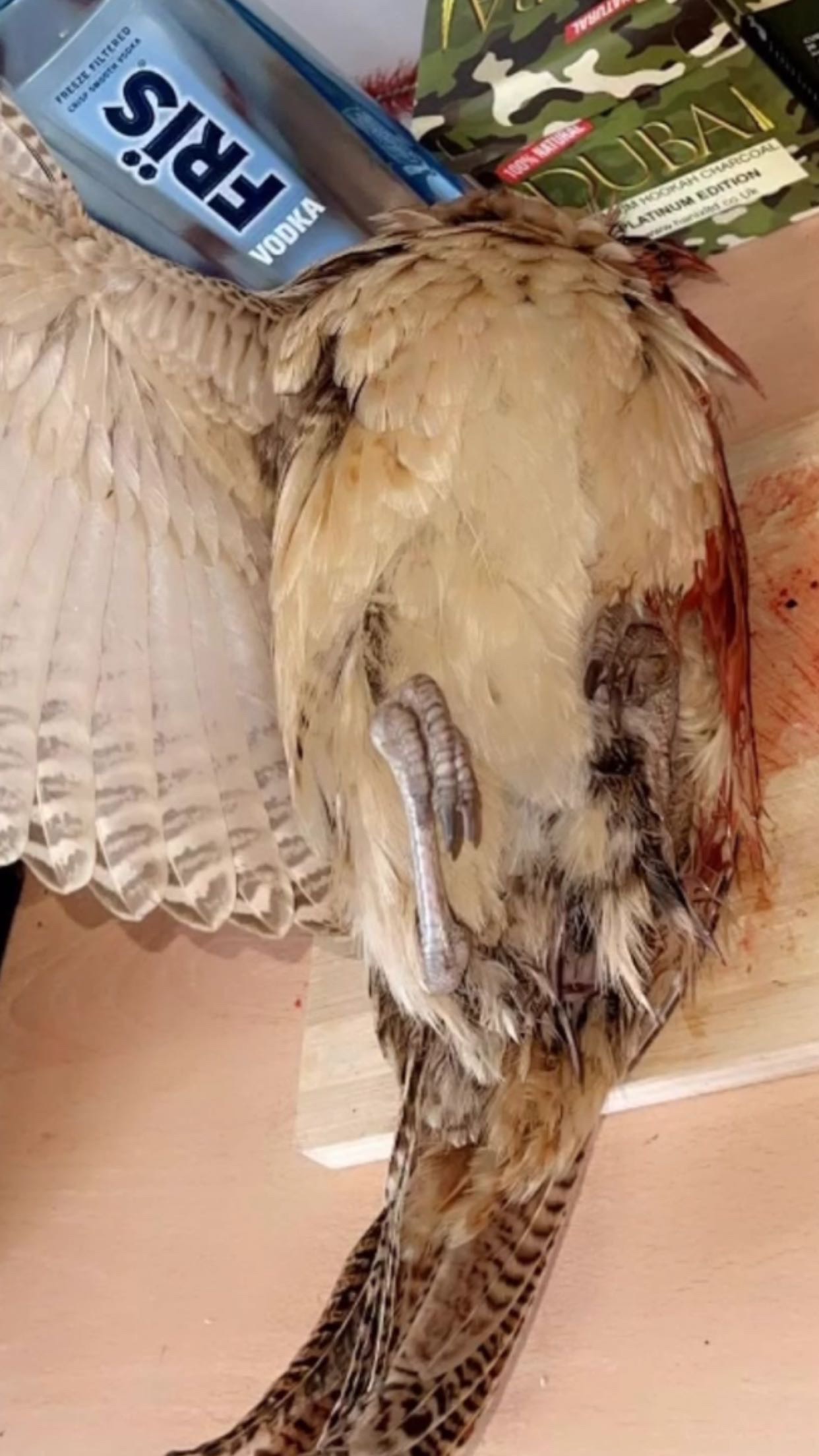 最近認識された鳥の写真