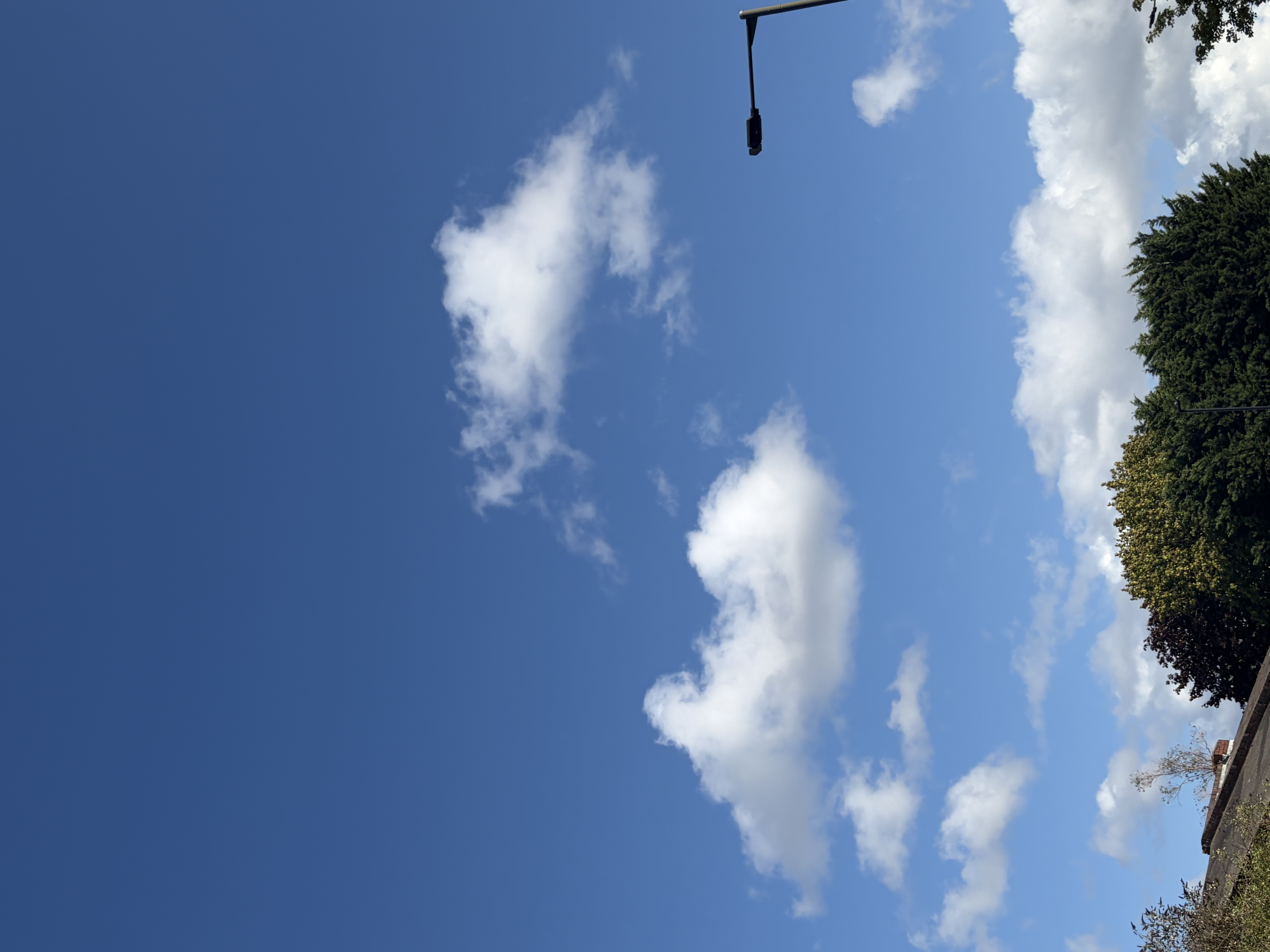Wolkenfoto: cumulus