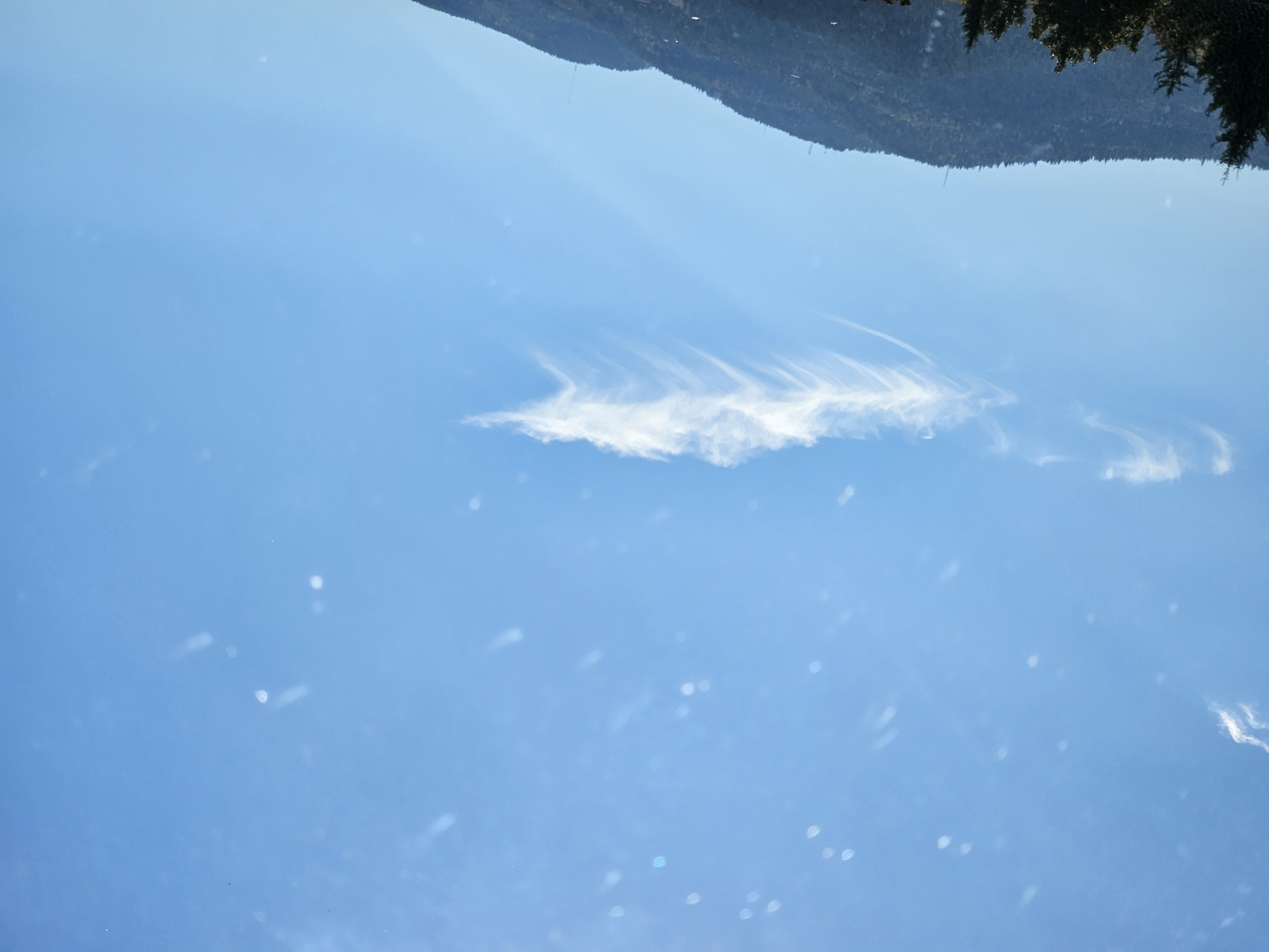 Cloud photo: Cirrus