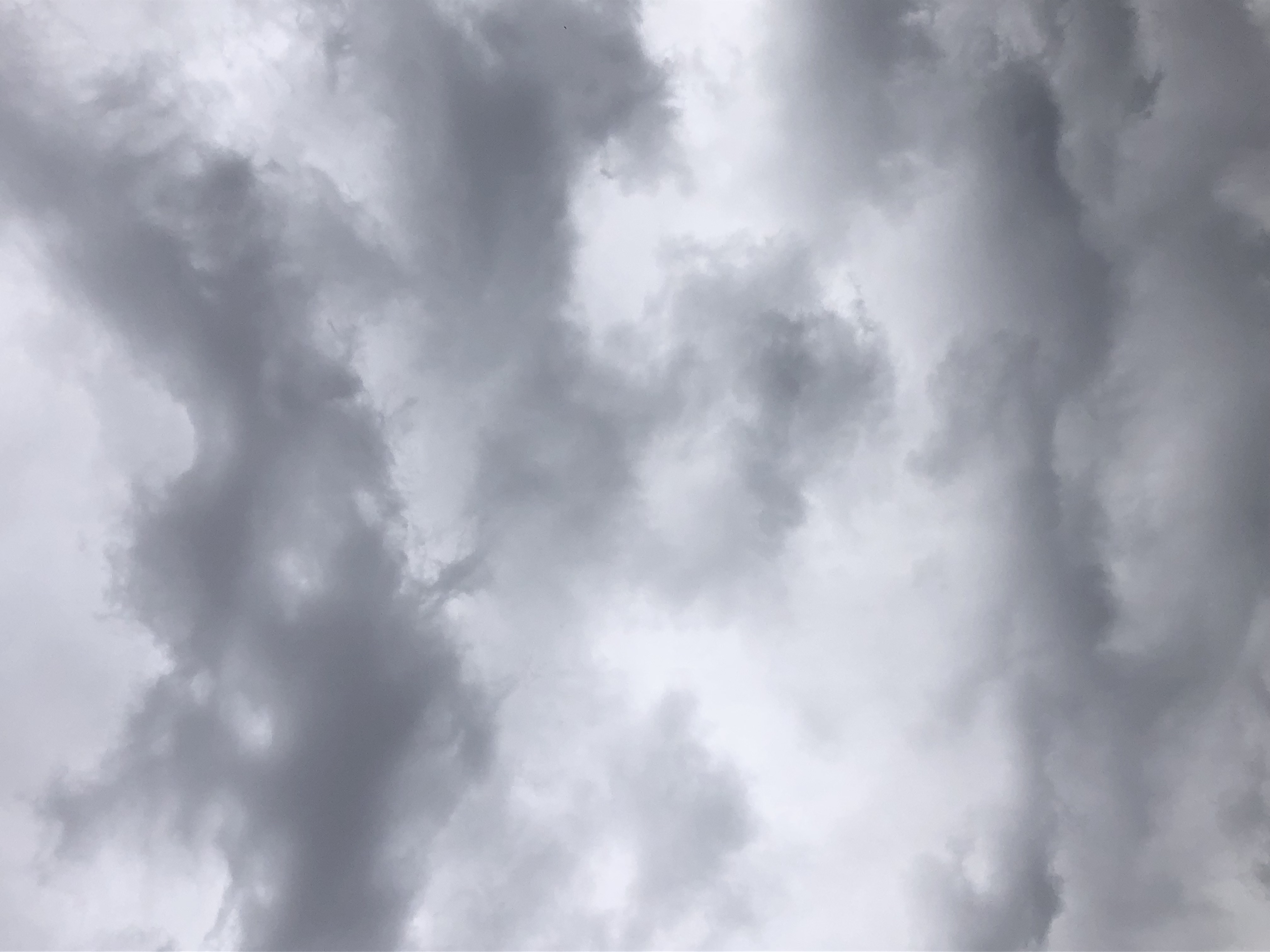 Cloud photo: Nimbostratus