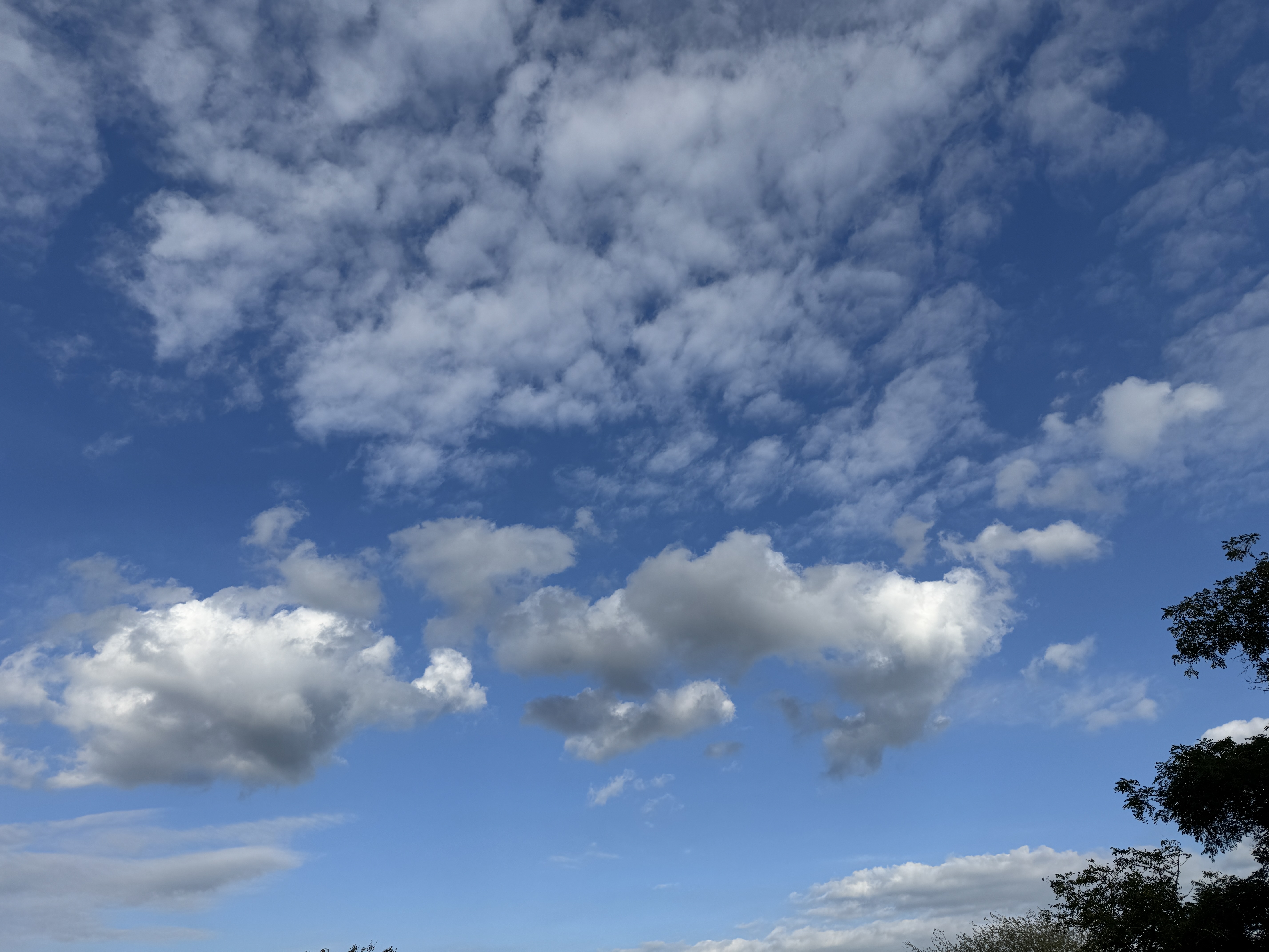 Wolkenfoto: Cumulus