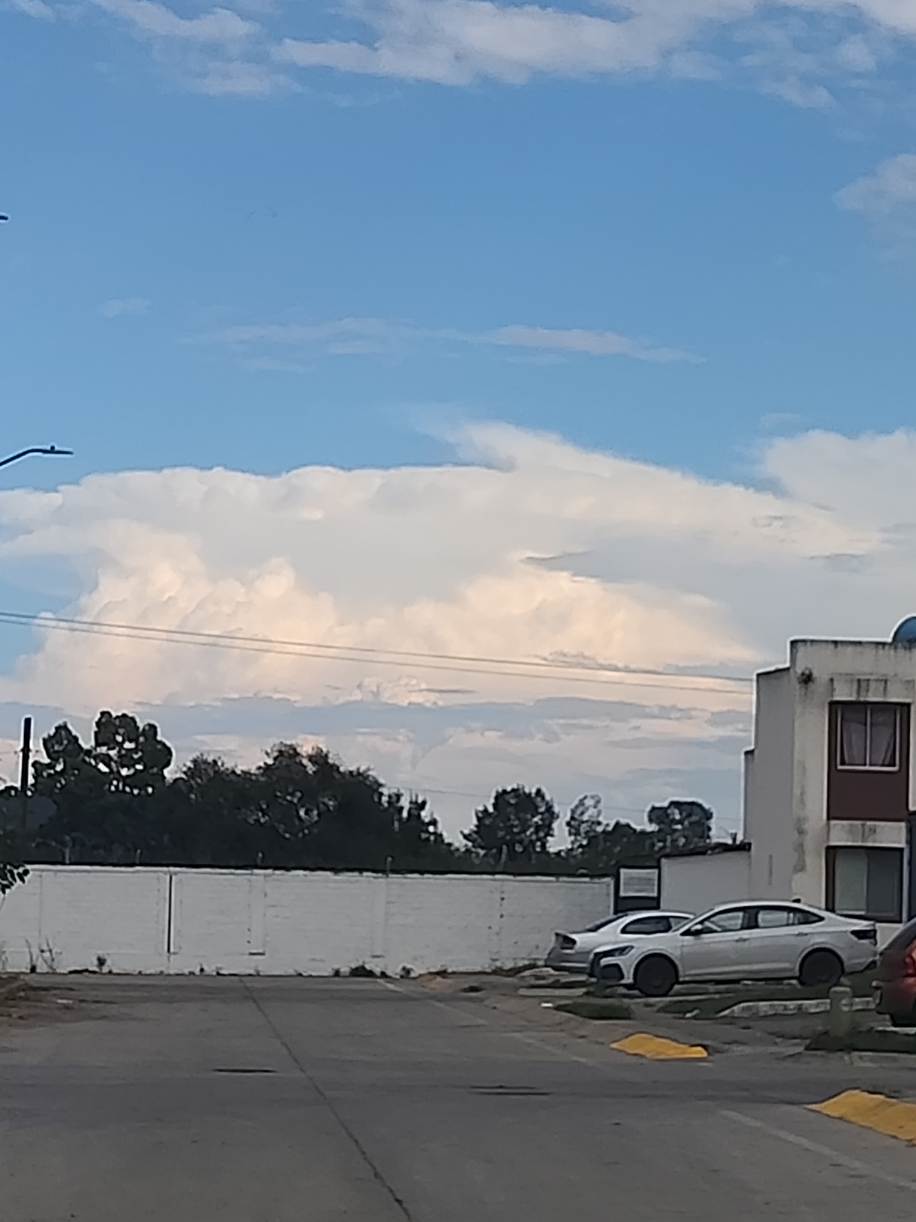 Cloud photo: Cumulus congestus